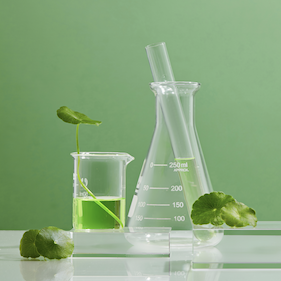 two laboratory glassware items filled and green liquid and green leaves